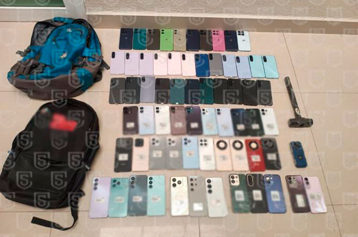 celulares