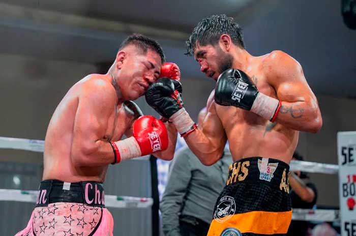 https://www.digitalmex.mx/images/2026/SEPTIEMBRE/06/box.jpg