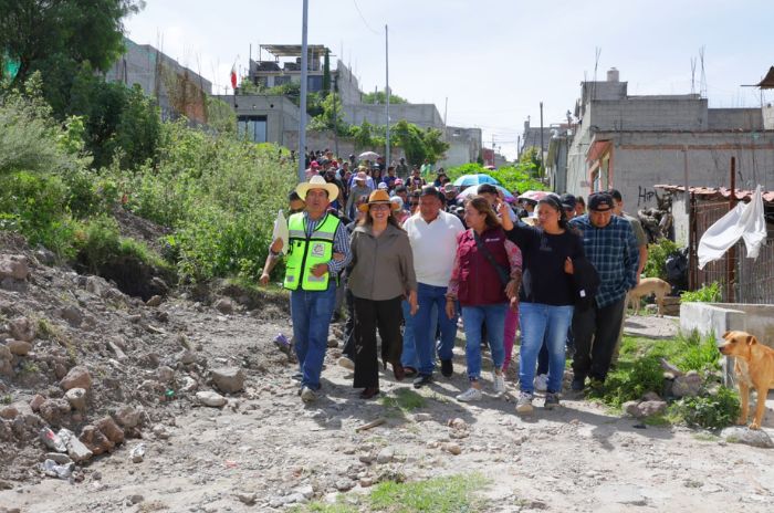 azucena