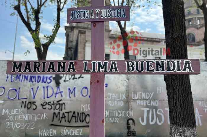 A-Mariana-Lima-la-mataron-en-un-segundo-y-pasaron-13-años-para-conseguir-justicia-en-Edoméx-2.jpg