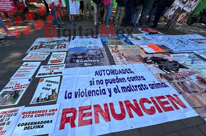 Activistas_reclaman_a_gobierno_del_Edoméx_retroceso_en_protección_animal.jpg