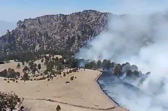 Combaten_incendio_en_Parque_Izta-Popo_van_150_hectáreas_quemadas_2.jpg