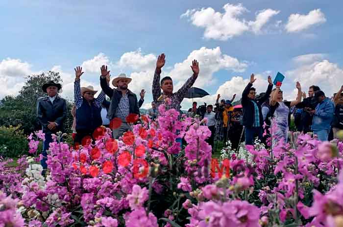 Comienza_corte_de_flores_por_Día_de_Muertos_en_TenangoDelValle_2.jpg