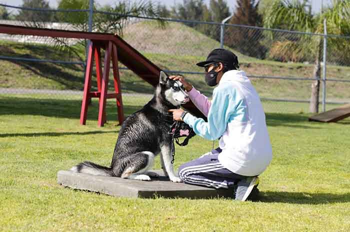 Cuidado_Protege_a_tus_mascotas_del_calor_siguiendo_estas_recomendaciones_2.jpg