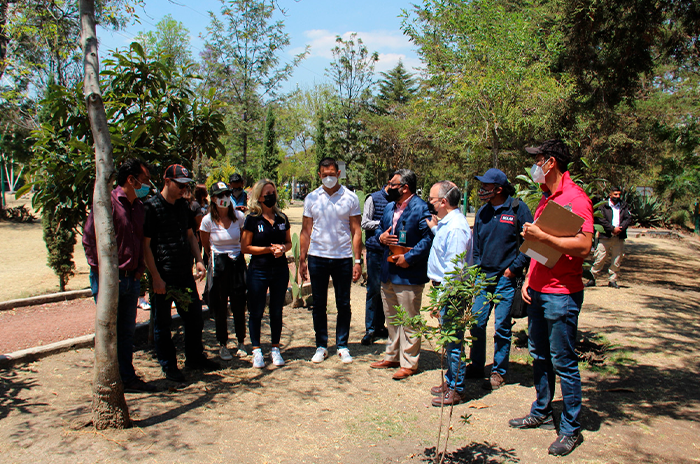 ESTUDIA HUIXQUILUCAN RESCATE DE ÁRBOLES 2