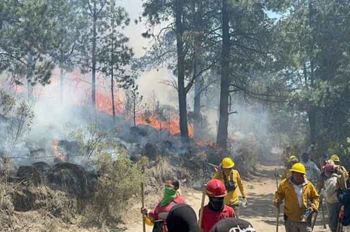 Fuerte_incendio_devasta_zonas_forestales_en_Naucalpan_2.jpg