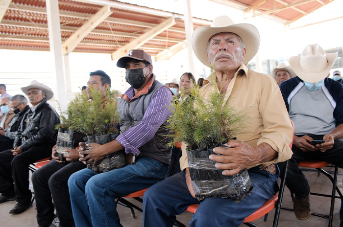 GEM y SECAMPO dan apoyos a productores de San José del Rincón 2