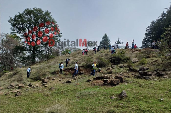 Gran-éxito-primera-jornada-de-reforestación-de-APYCM-2.jpg