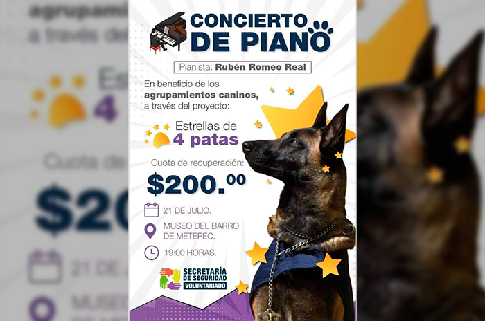 Hacen concierto para ayudar a Estrellas de Cuatro Patas 2