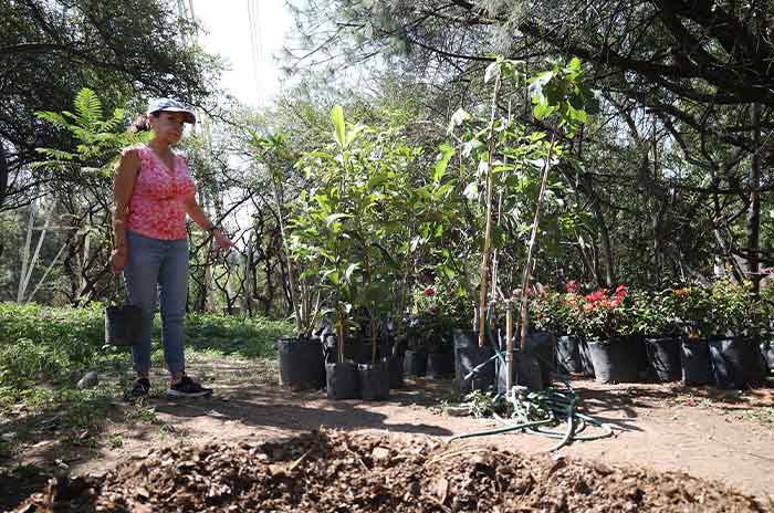 Huixquilucan_Más_de_200_árboles_plantados_en_jornadas_de_reforestación_2.jpg