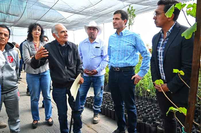 Instala_Toluca_Comité_de_Atención_al_Árbol_de_las_Manitas_23.jpg