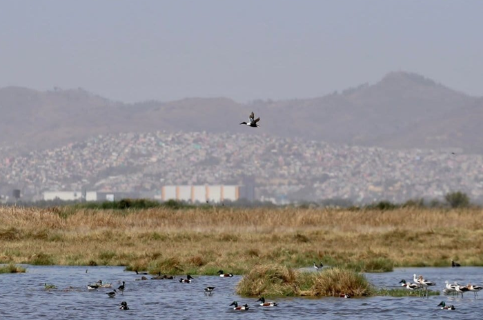 Lago de Texcoco 2