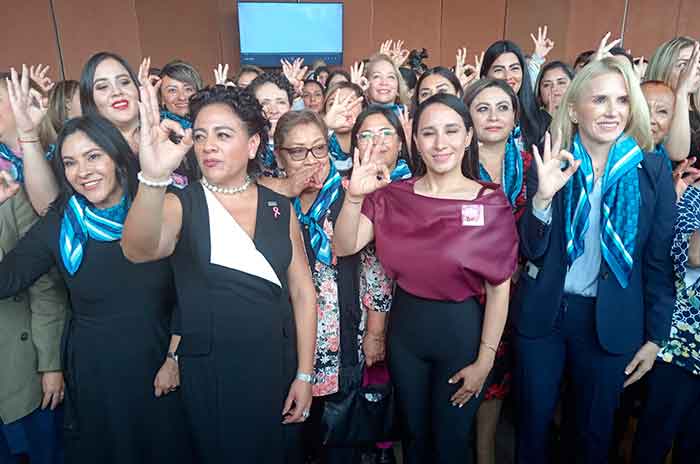 Mujeres_presentan_libro_Los_Rostros_de_la_Paridad_en_ValleDeBravo_2.jpg