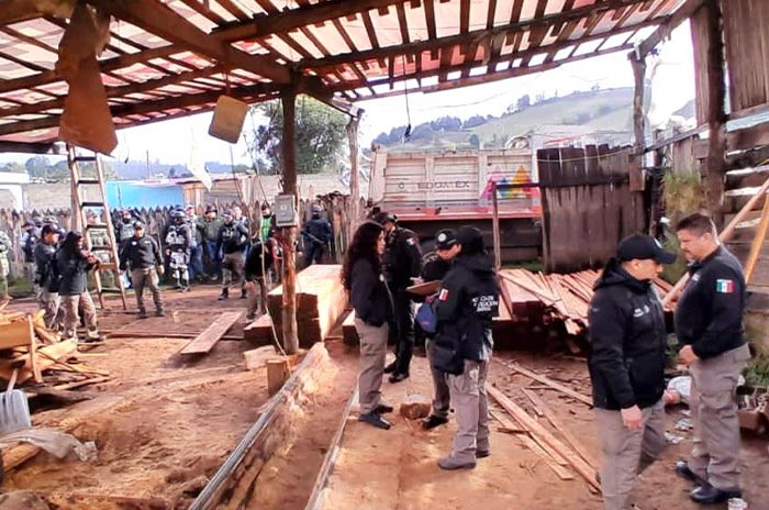 Ordena-Delfina-Gómez-operativo-contra-tala-clandestina-en-SurEdoméx-2.jpg