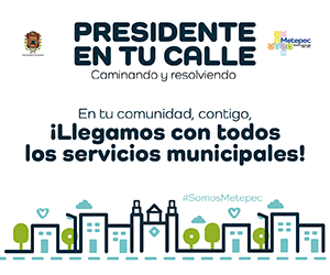 *7311 Metepec