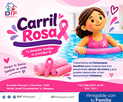 DIF Metepec