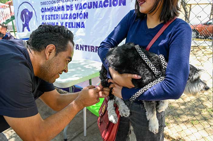 mascotas-naucalpan.jpg