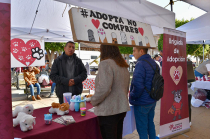 La jornada se realizará el 18 de marzo a las 9:00 horas en la explanada municipal.