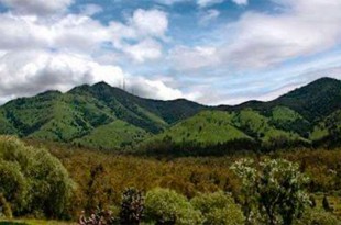 Se priorizará el rescate del Área Natural Protegida, la rehabilitación de presas de gavión y la limpieza de barrancas para prevenir inundaciones.