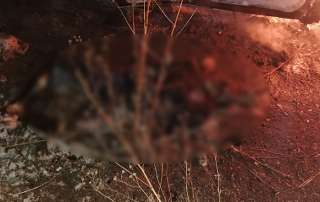 #Video: Linchan a dos hombres en #LosReyeslaPaz; los quemaron vivos