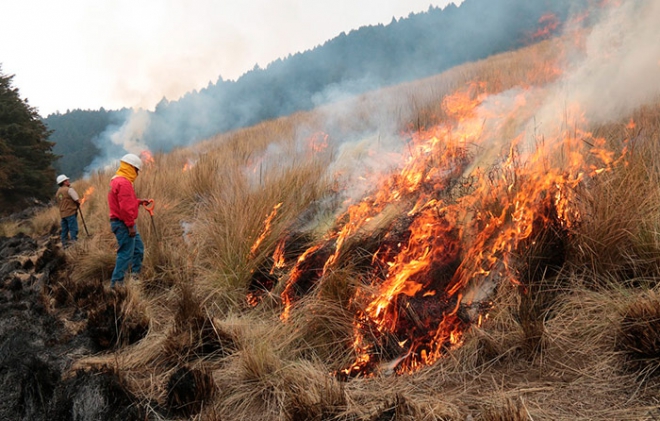 Inicia Probosque operativo de Semana Santa contra incendios forestales