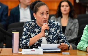 Diputada panista va por acabar con violencia política contra la mujer