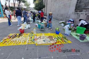 El Domingo de Ramos es una fiesta cristiana que cae el domingo antes de Pascua, es decir, el sexto domingo de Cuaresma.