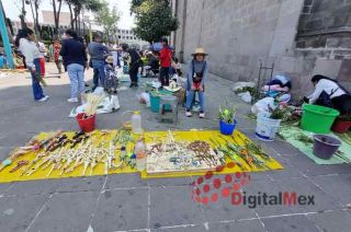 El Domingo de Ramos es una fiesta cristiana que cae el domingo antes de Pascua, es decir, el sexto domingo de Cuaresma.