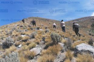 A través de la línea de emergencias nacional 9-1-1 se tuvo conocimiento del hecho.