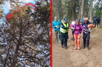 Una llamada al número nacional de emergencias 9-1-1 accionó rápidamente a las autoridades para el rescate