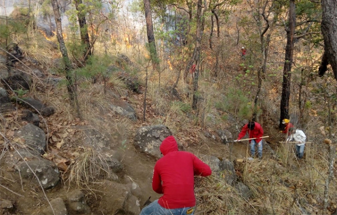 Incendio en Valle de Bravo arrasó con 80 hectáreas en bosque