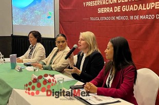 El proyecto se realizará en coordinación con Pronatura, organización que aportará la inversión principal.
