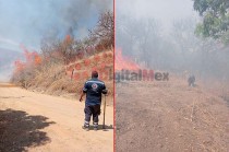 Según los primeros informes, el incendio fue provocado accidentalmente por campesinos que preparaban la tierra para próximas siembras. 