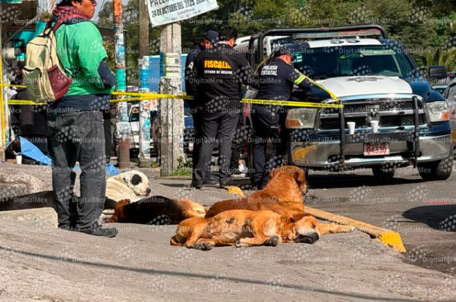 Sus cinco perros permanecieron junto al hombre en situación de calle hasta que personal forense realizó el levantamiento del cuerpo.