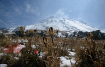 Directores de Seguridad sabían de hombres armados en el #NevadoDeToluca: comisaria