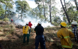 Capacita Probosque para prevenir y combatir incendios