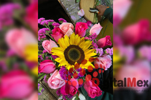 Productores mexiquenses reportan una caída cercana al 50% en la venta de flores hacia EE.UU., agravada por factores climáticos.