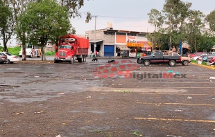 Peligrosa jauría de perros acecha la Central de Abasto de Toluca