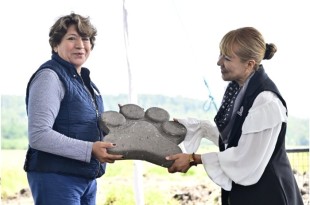 El nuevo centro abarcará 8 mil metros cuadrados e incluirá instalaciones especializadas como una clínica veterinaria, áreas de resguardo con 30 albergues.