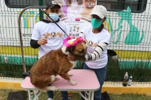 El Centro de Control y Bienestar Animal (CCyBA) contó con la colaboración de estudiantes de la escuela Educanina.