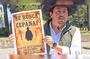 Derik Roa, representante de Eco Urban, pidió acciones urgentes para proteger la fauna de El Calvario ante presuntos actos de crueldad animal.