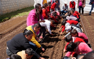 Ponen en marcha Programa HortaDIF en comunidad de Almoloya de Juárez