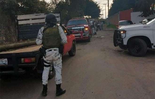 En un operativo en la zona boscosa, donde se aseguraron cuatro camionetas y 46 troncos de madera que habían sido talados sin permisos