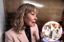 Alma Diana Tapia Mata, directora general de Cepanaf, informó que el Estado de México trabaja en las reglas de operación para poner en marcha el Registro Único de Animales de Compañía y el padrón de agresores de animales.