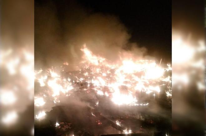 La alerta se recibió poco antes del amanecer, en las inmediaciones del tiradero del Bordo de Xochiaca.