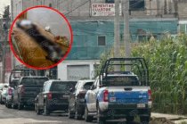 Autoridades resguardaron el inmueble en Metepec donde un hombre de 44 años fue localizado sin vida con huellas de violencia.