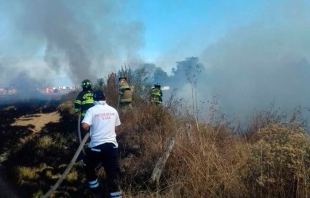 Atienden Bomberos de Toluca 19 incendios de pastizales