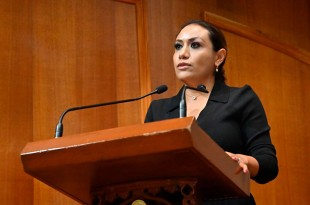 Además, criticó la falta de acción de la Cámara de Diputados en la solicitud de desafuero contra el diputado federal Cuauhtémoc Blanco 