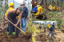 Gobierno municipal coordina acciones ambientales con brigadas y autoridades de los tres niveles