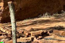 Las diligencias establecieron que la víctima no pudo ser identificada